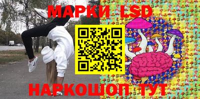 стафф Можга